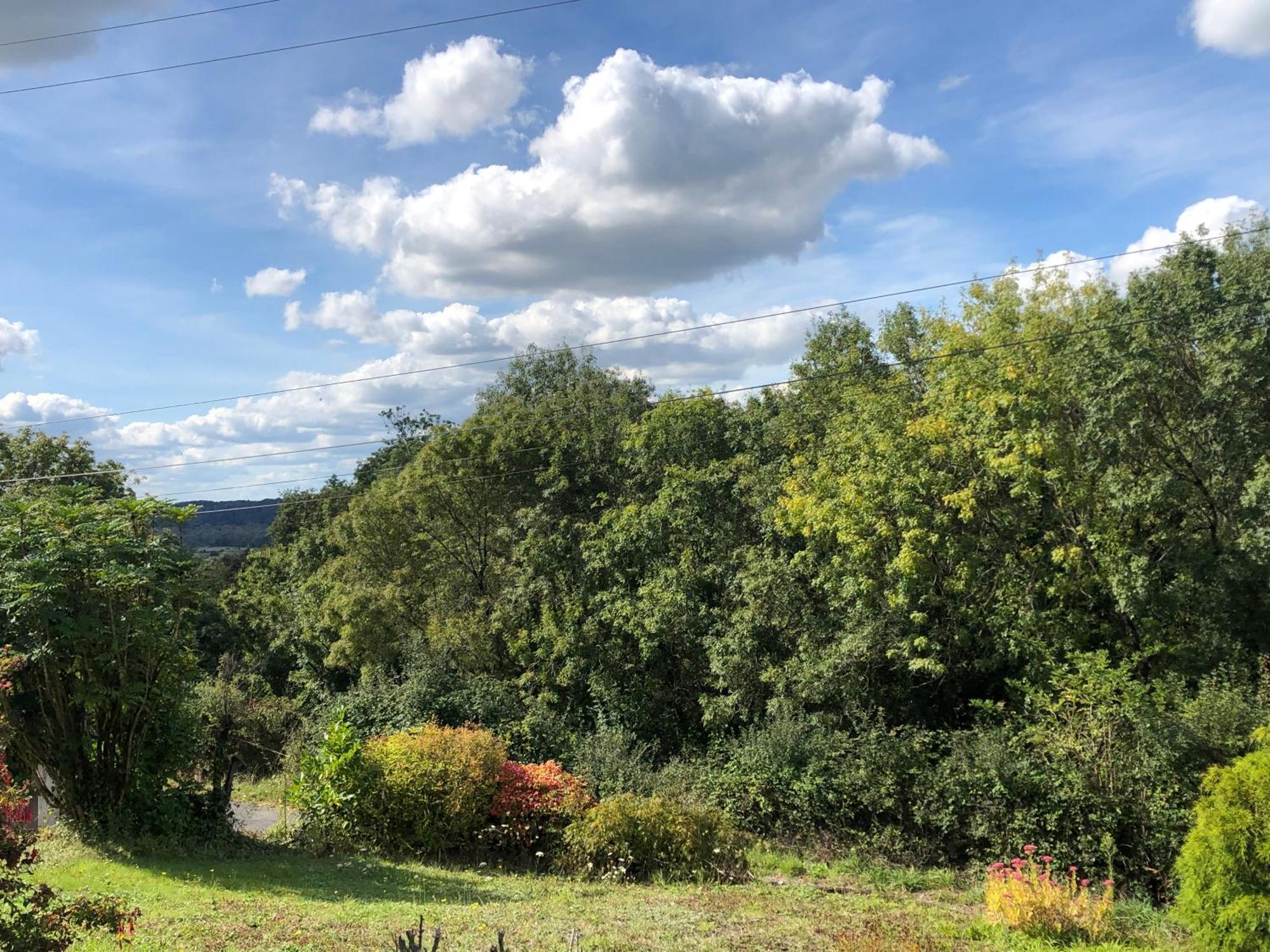 Chambre "Les Garennes" Oree-d'Anjou Exteriér fotografie